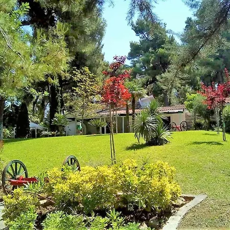 Sani Suave With Pool *