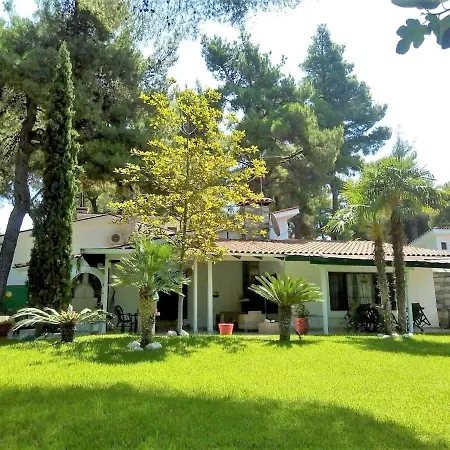 Sani Suave With Pool Sani (Chalkidiki)