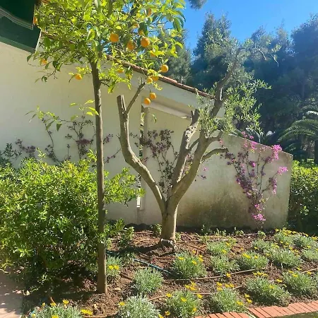 Sani Suave With Pool Sani (Chalkidiki)