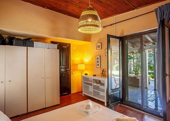 Sani Suave With Pool