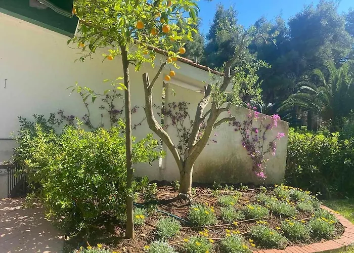 Sani Suave With Pool 撒尼海滩