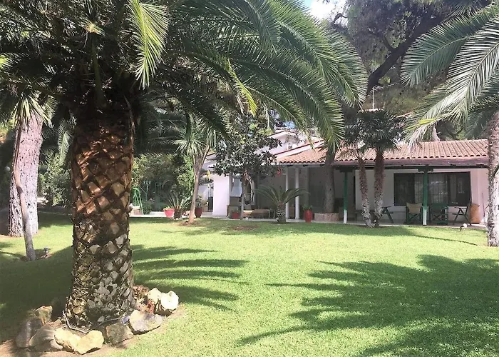 Sani Suave With Pool *